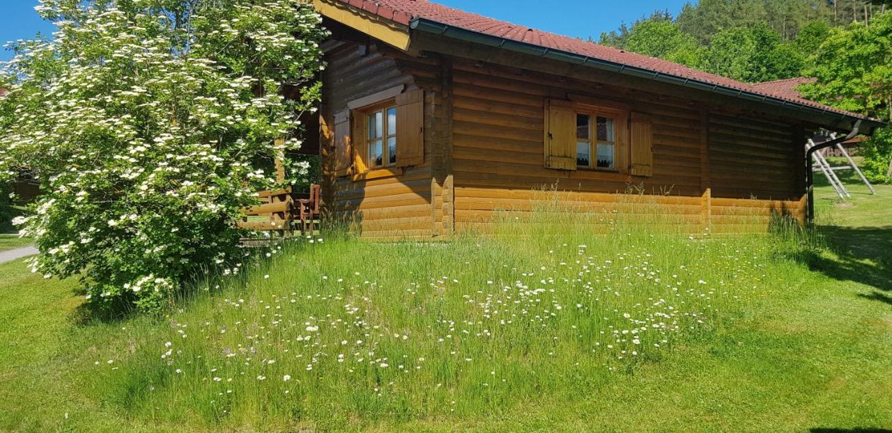 Blockhaus Stamsried Villa ภายนอก รูปภาพ